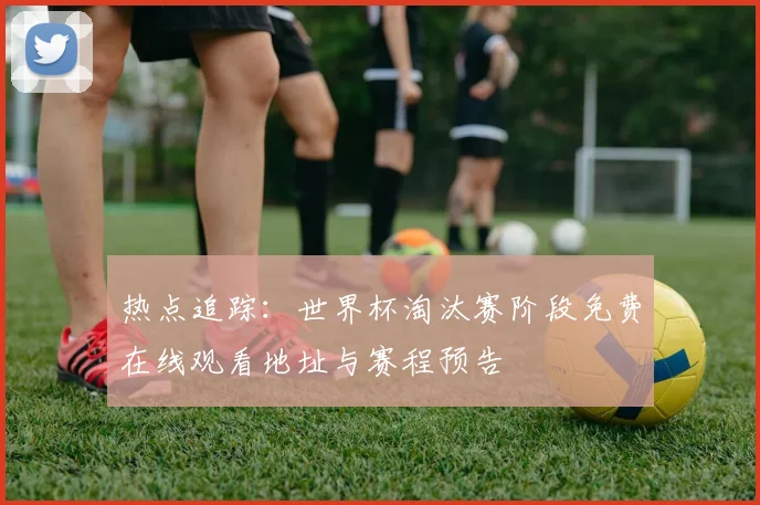热点追踪：世界杯淘汰赛阶段免费在线观看地址与赛程预告