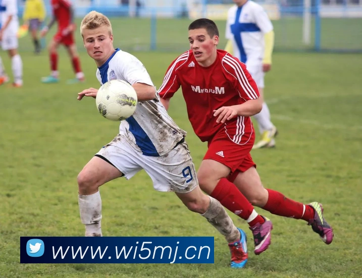 多媒体互动体验